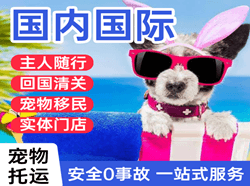 两江机场邮寄国际宠物托运 【国
